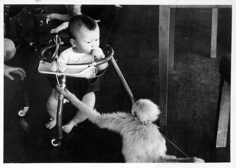 A Mohawk in 1956???